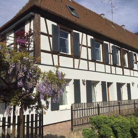 Gite Cote Jardin Ingersheim Εξωτερικό φωτογραφία