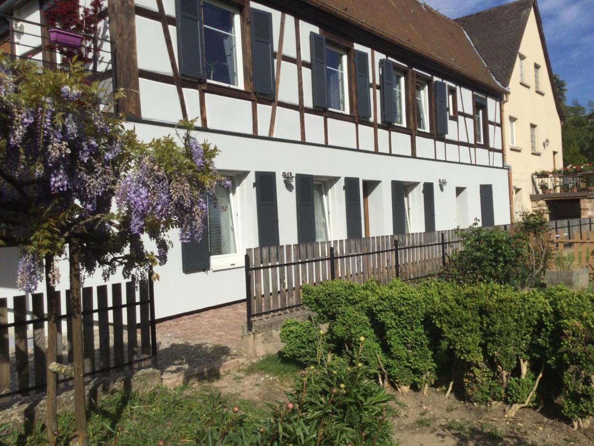 Gite Cote Jardin Ingersheim Εξωτερικό φωτογραφία
