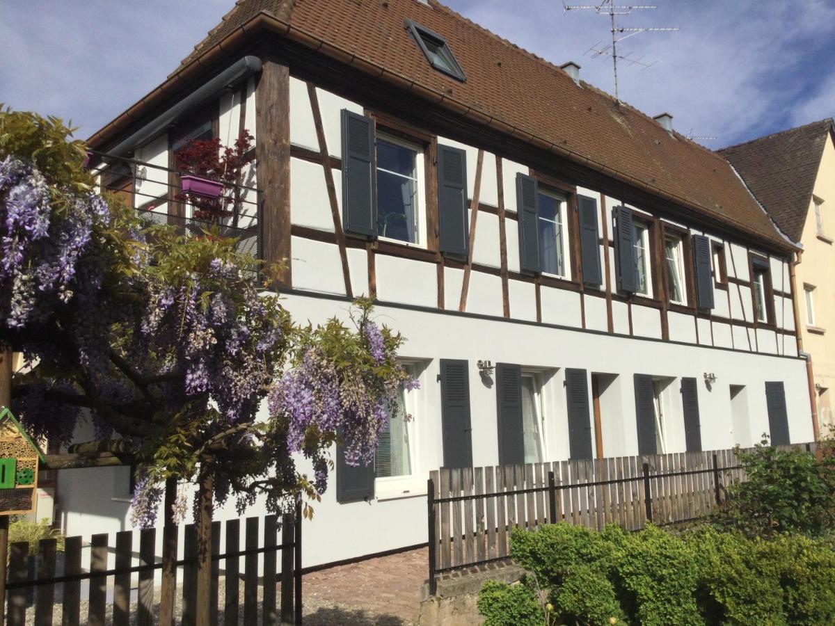 Gite Cote Jardin Ingersheim Εξωτερικό φωτογραφία