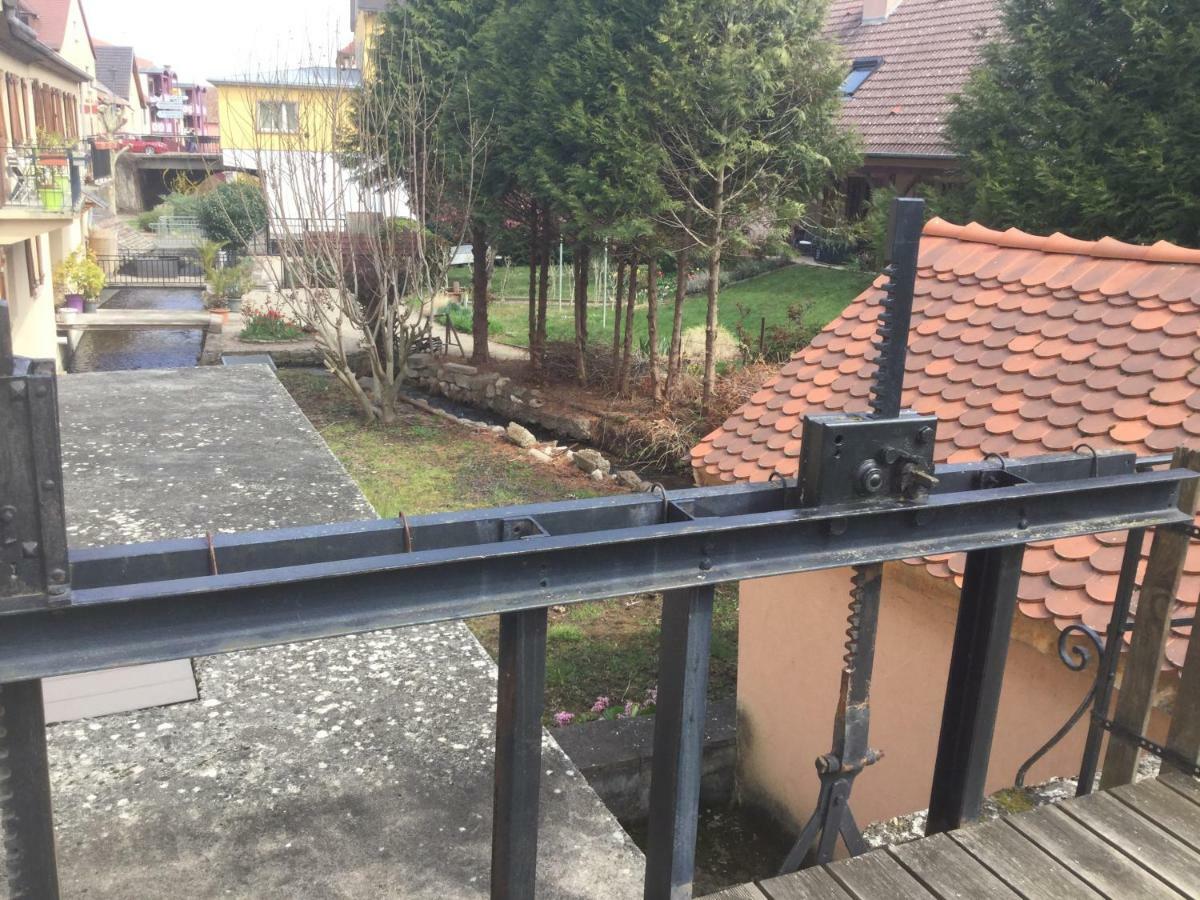 Gite Cote Jardin Ingersheim Εξωτερικό φωτογραφία